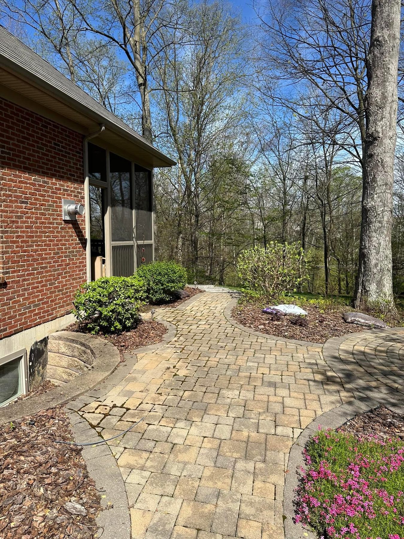 Paver walkway before cleaning, covered in moss and algae